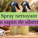 spray nettoyant multi-usage au savon noir